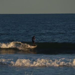 Meet your Posher, Will